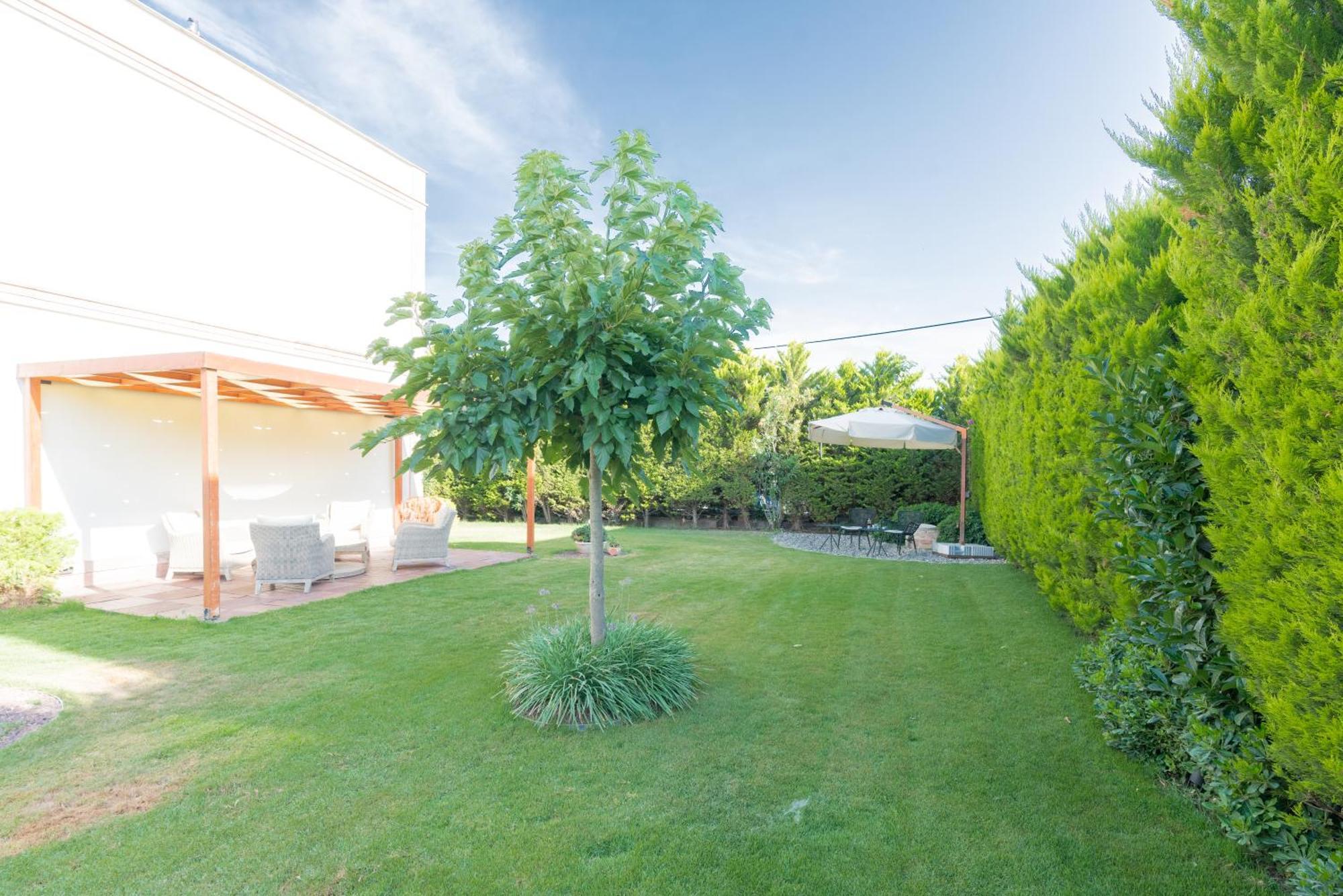 Elia Hotel Cunda By Ortunc Ayvalı Extérieur photo